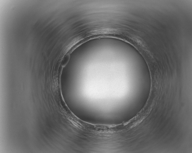 X0000052541073200507152127