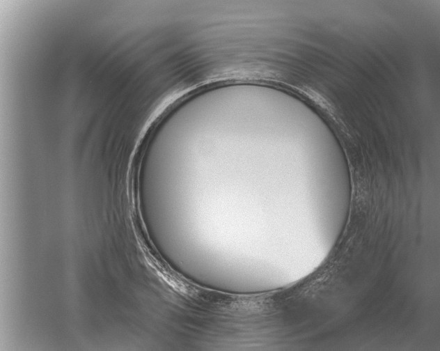 X0000052541078200507152126