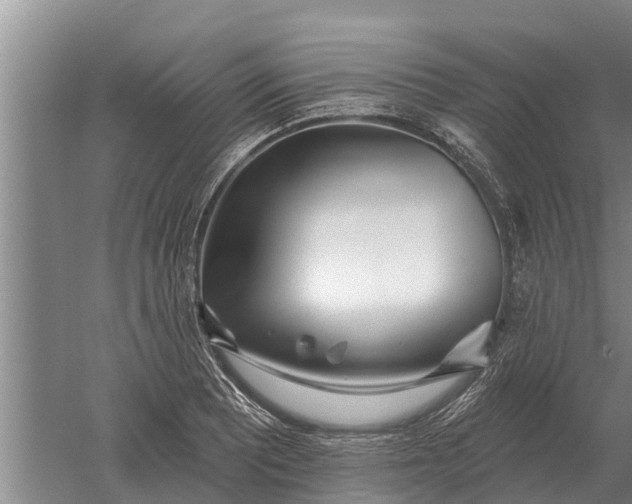 X0000052541081200507152126