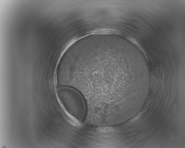 X0000052541083200507152126