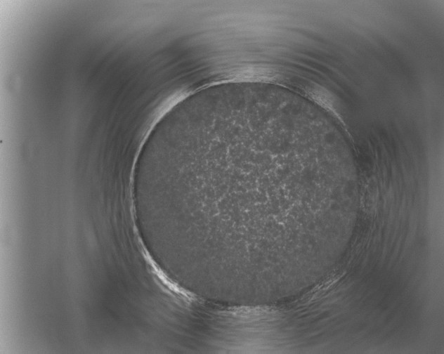 X0000052541087200507152126