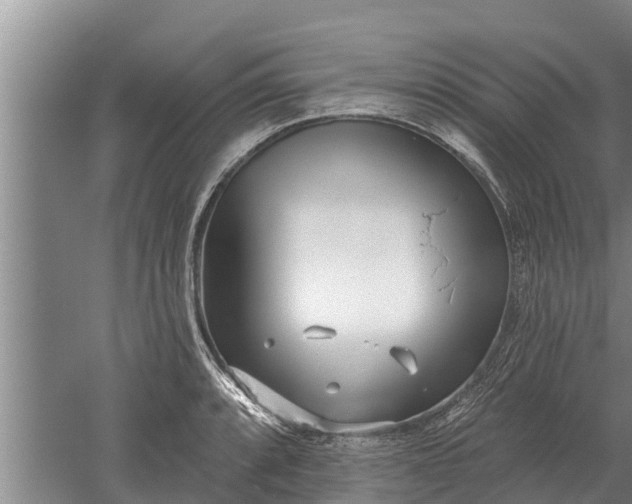 X0000052541088200507152126