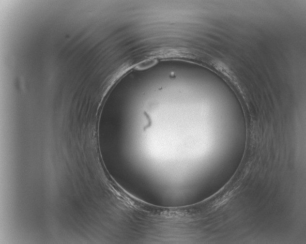 X0000052541089200507152126