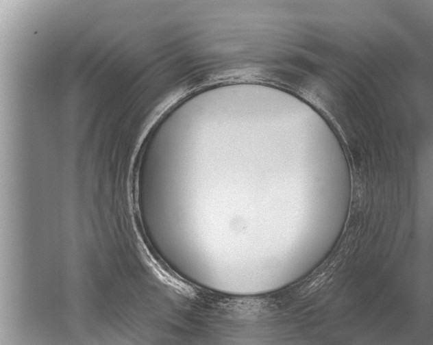 X0000052541090200507152126