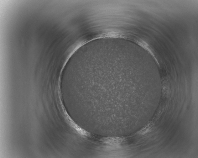 X0000052541091200507152126