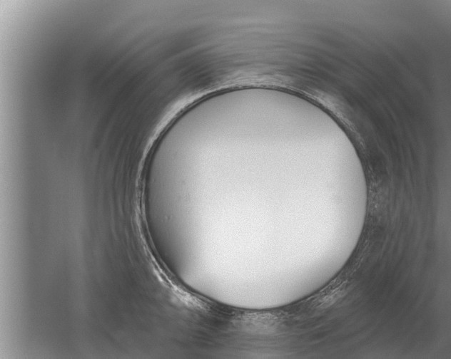 X0000052541094200507152126