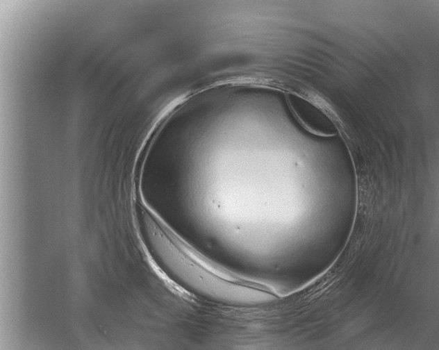 X0000052541095200507152126