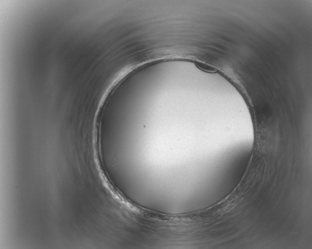 X0000052541096200507152126