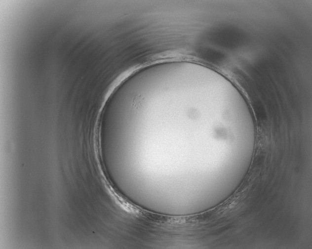 X0000052541098200507152126