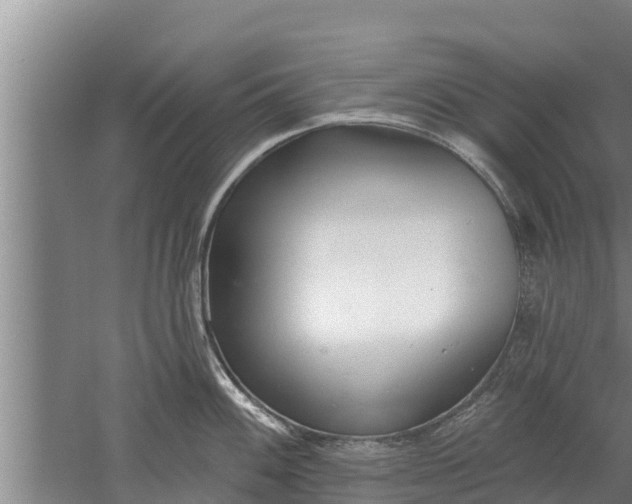 X0000052541100200507152126