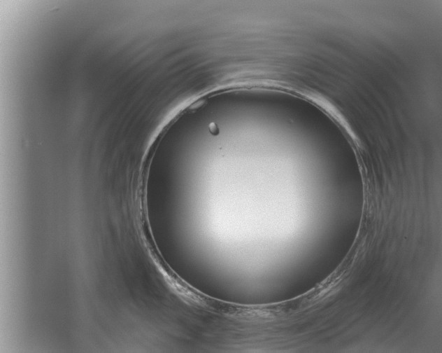 X0000052541101200507152126