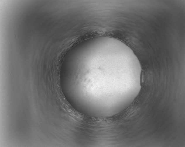 X0000052541105200507152125