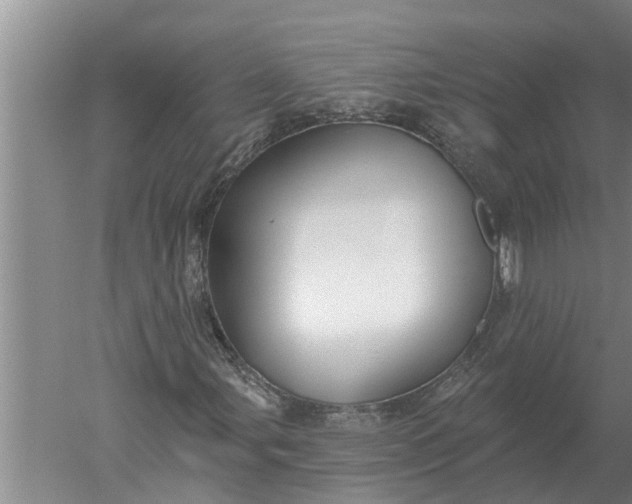 X0000052541107200507152125