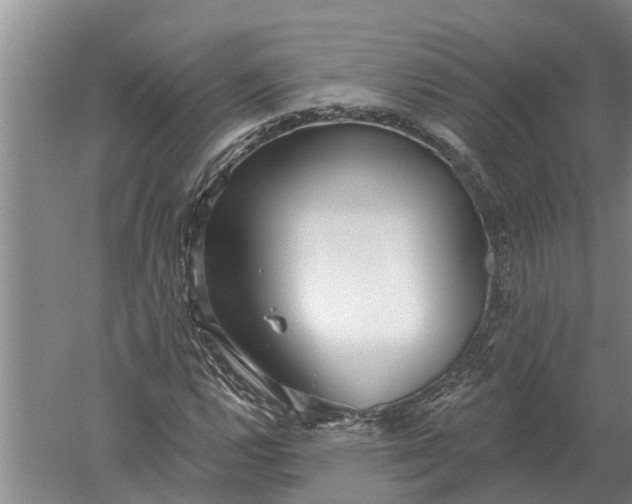 X0000052541112200507152125