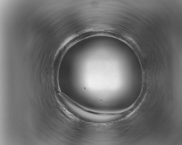 X0000052541114200507152125