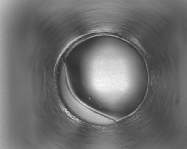 X0000052541116200507152125