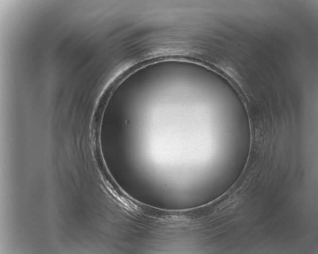 X0000052541119200507152125