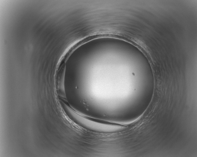 X0000052541120200507152125