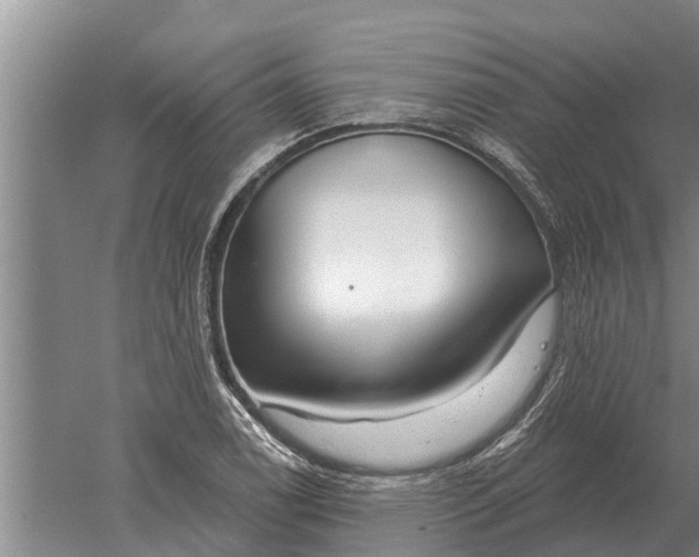 X0000052541122200507152126