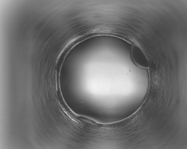 X0000052541123200507152126