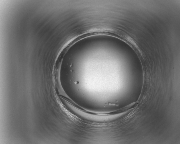 X0000052541124200507152126