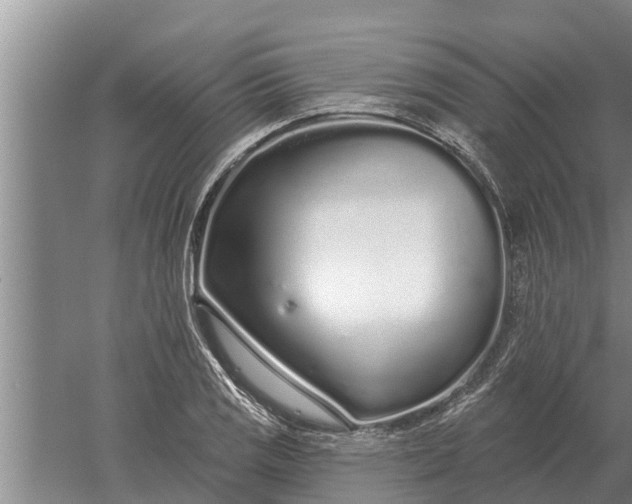 X0000052541125200507152126