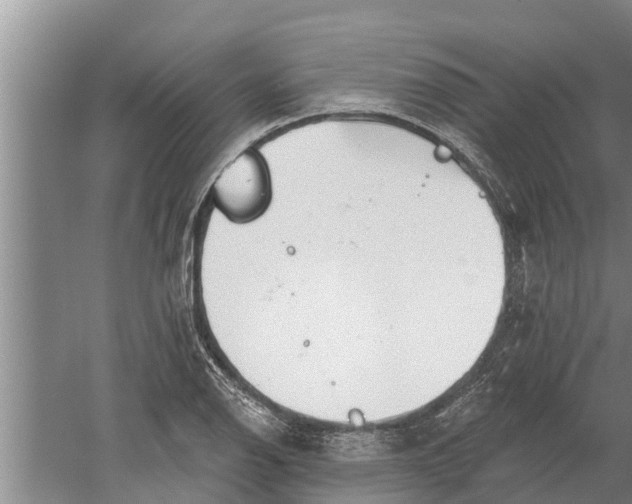 X0000052541126200507152126