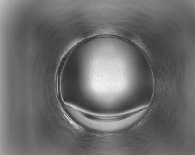 X0000052541127200507152126