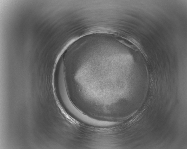 X0000052541128200507152126