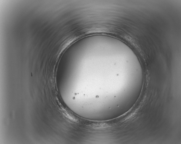 X0000052541129200507152126