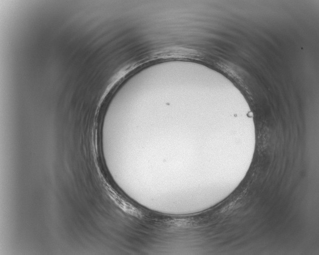 X0000052541130200507152126