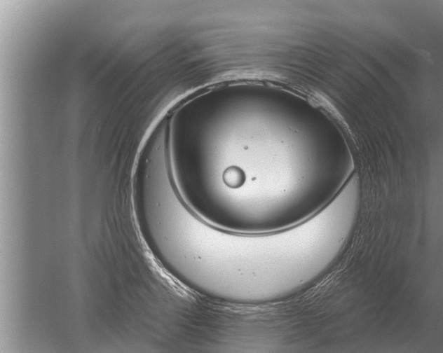 X0000052541132200507152126