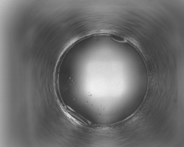 X0000052541135200507152126