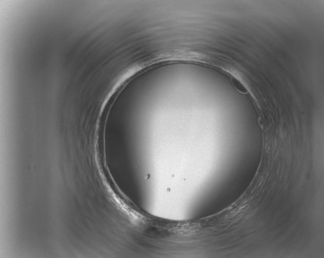 X0000052541139200507152126