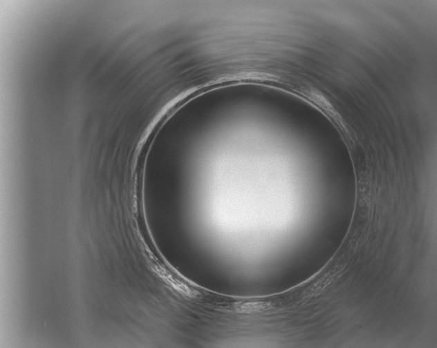 X0000052541140200507152126