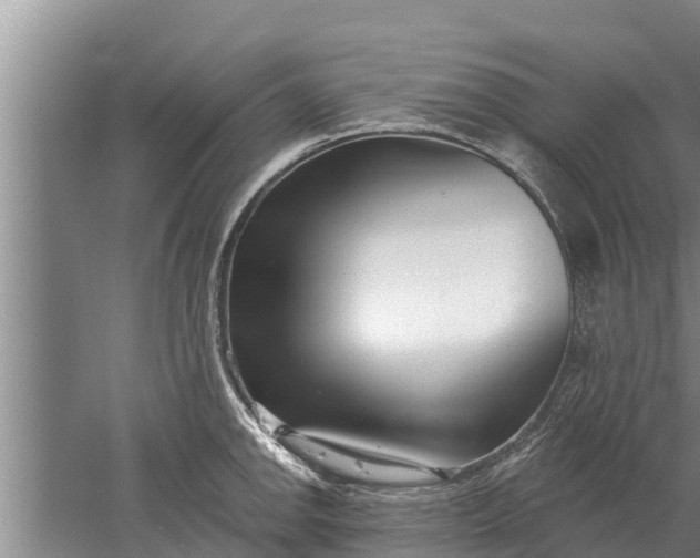 X0000052541142200507152126