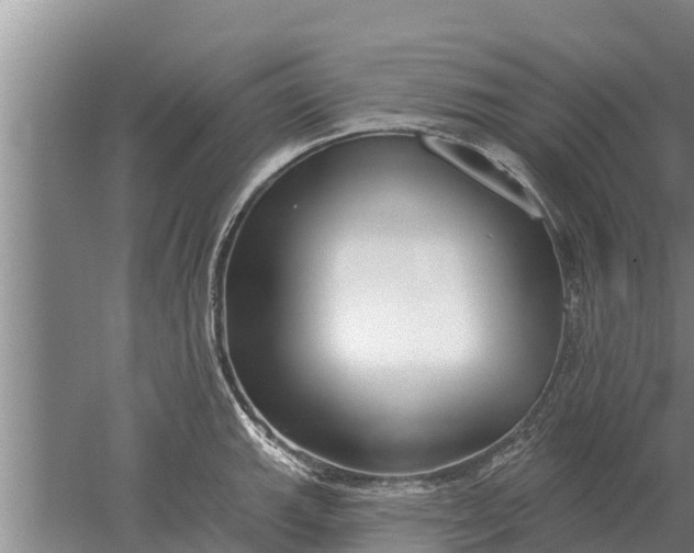 X0000052541143200507152126