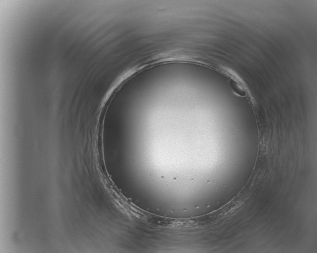 X0000052541146200507152126