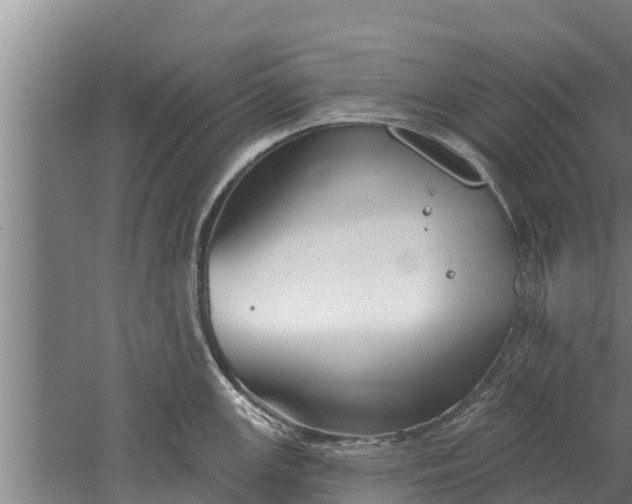 X0000052541147200507152126