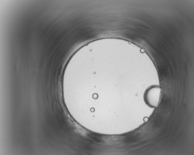 X0000052541150200507152126