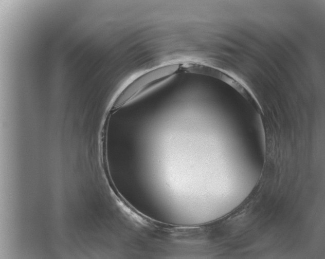 X0000052541151200507152126