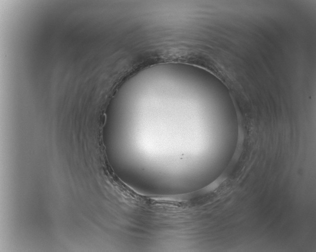 X0000052541153200507152125