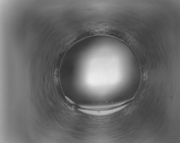 X0000052541156200507152125