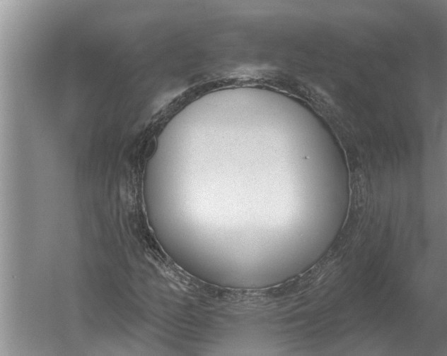 X0000052541158200507152125