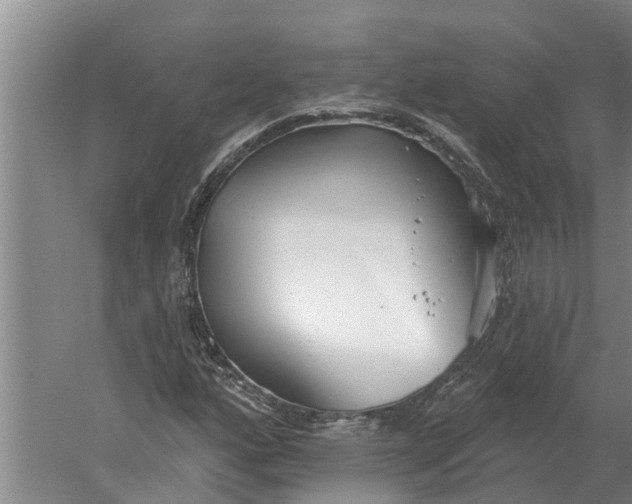 X0000052541160200507152125