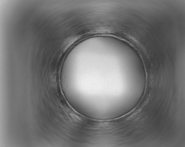 X0000052541162200507152125