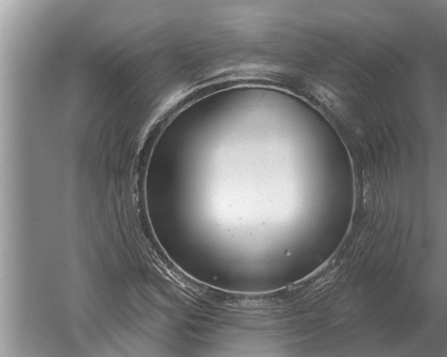 X0000052541164200507152125