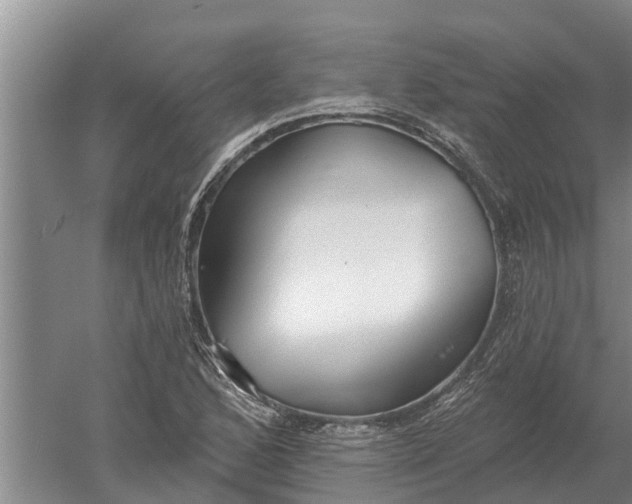 X0000052541168200507152125