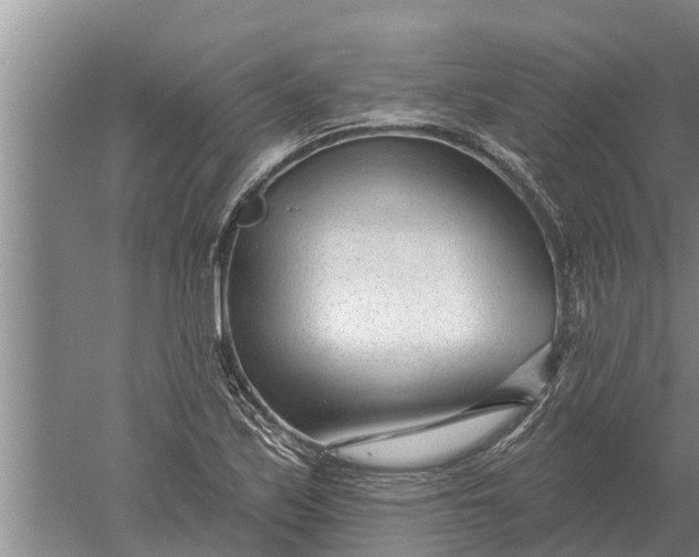 X0000052541171200507152125