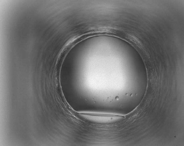 X0000052541172200507152125